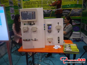 科技賦能 味蕾綻放——3000多項食用菌產品技術亮相青島會展，計量技術服務助力產業升級